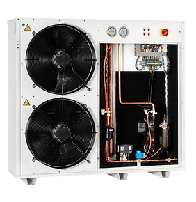 IBS_00186-w-1024×1024